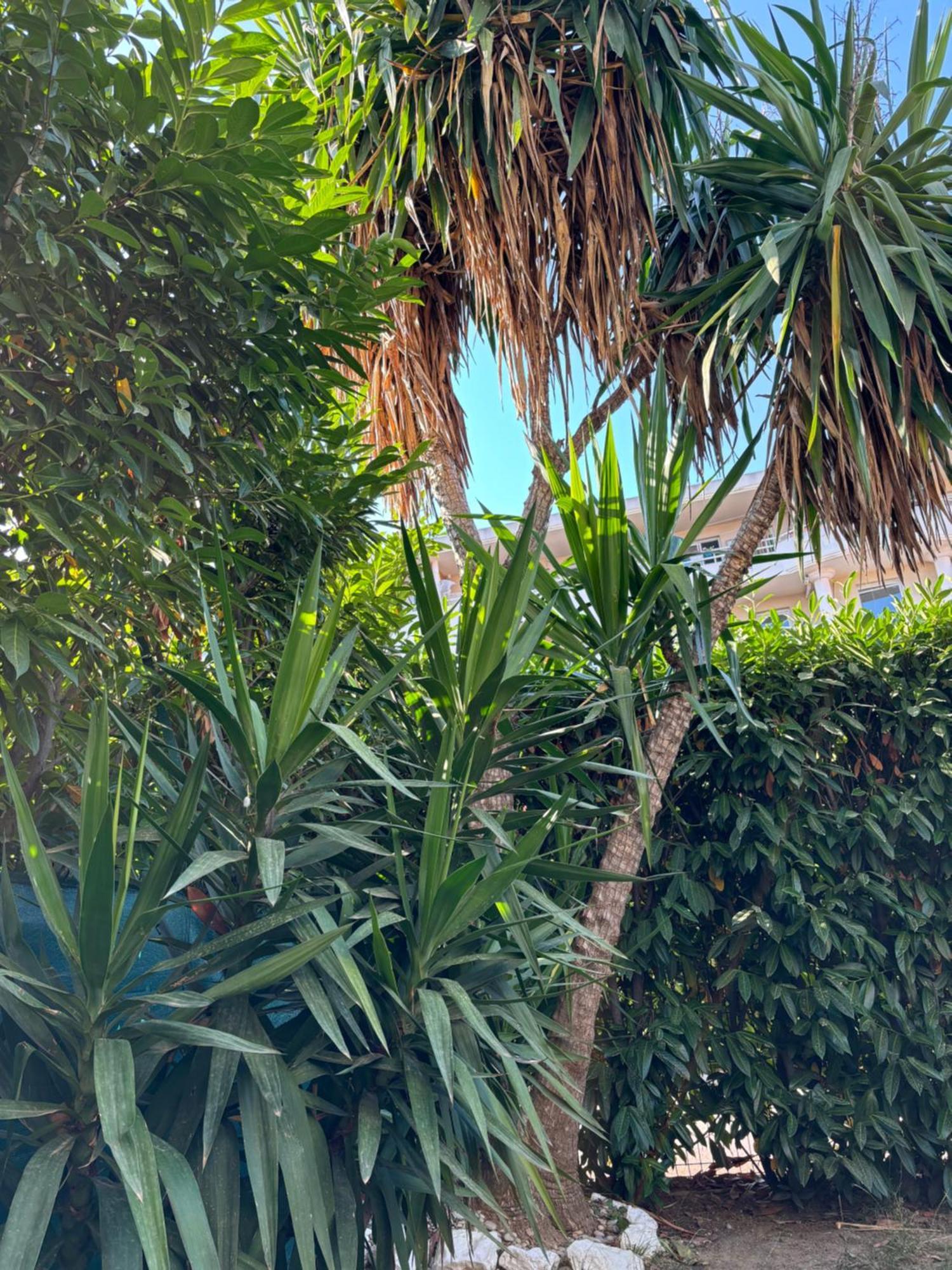 Beachside Apartment With Pool & Garden In Juan Les Pins Antibes Exterior photo